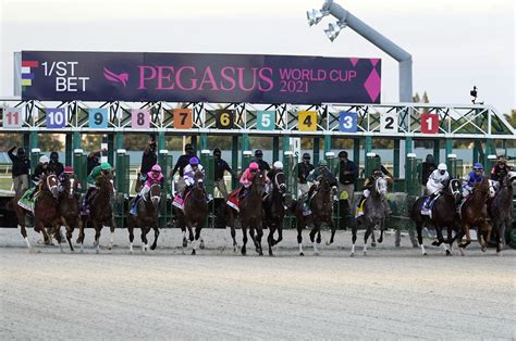 pabets tvg|How to Bet the Pegasus Cup .